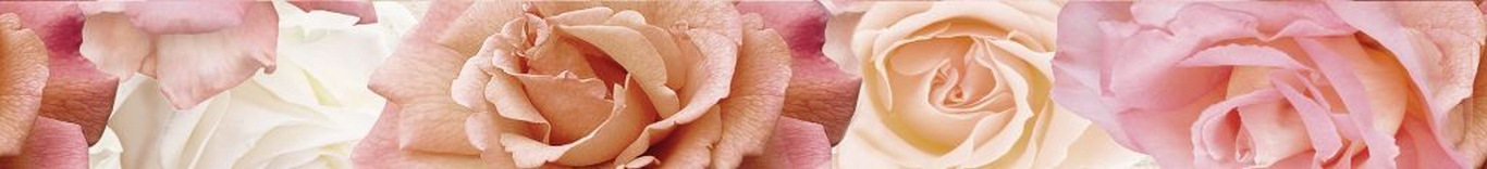 Wave Roses бордюр (WA1J451DT)
<br>