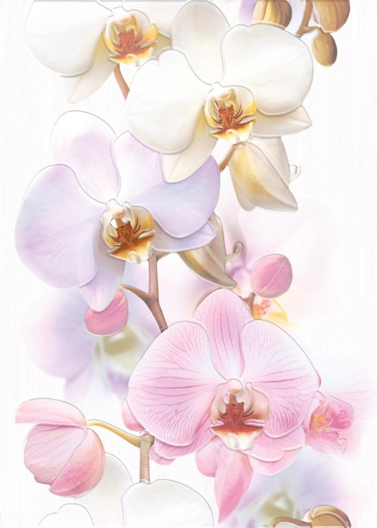 Tropicana декор Orchids
<br>